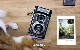 Explore HortFest 2025 with Film - Mint InstantFlex TL70